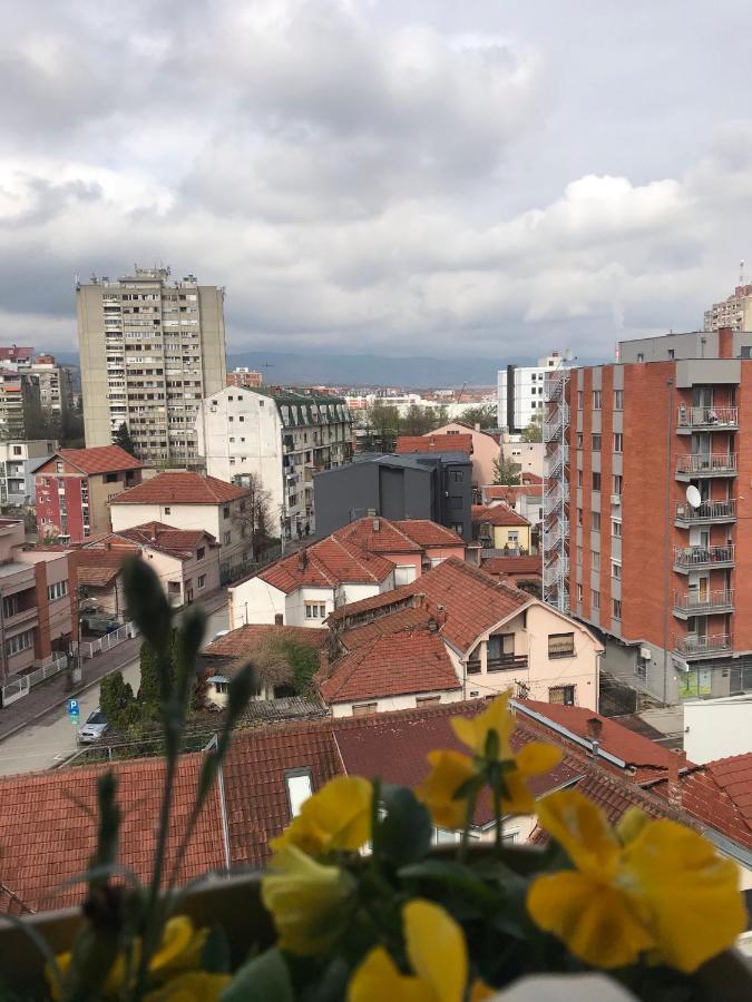 Belvedere Ni Екстериор снимка